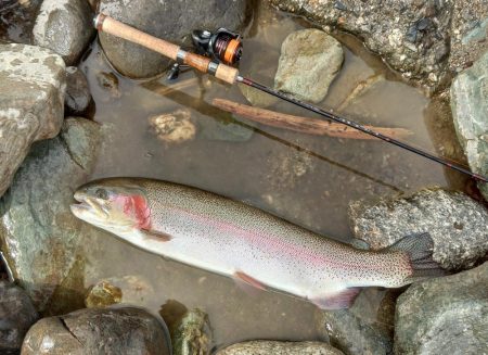 70㎝は釣れたけど 天竜川ルアーフライ専用区